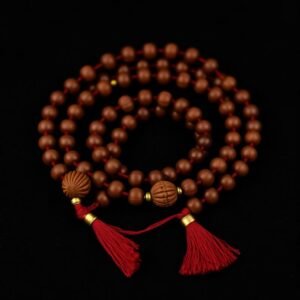 5 mukhi rudraksha mala